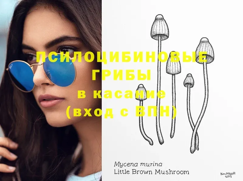 Галлюциногенные грибы Magic Shrooms  купить   Красновишерск 